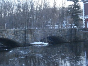 Charles River Wellesley Lower Falls