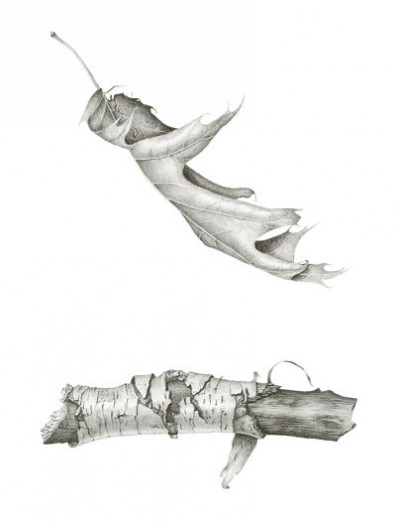 Carrie Megan art