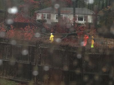 Rte 9 tree westbound Hurricane Sandy Monday