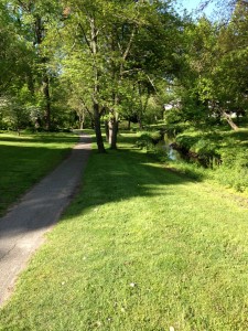 Wellesley Brook Path May 2013