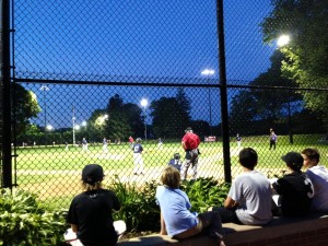 Reidy Field, June 2013