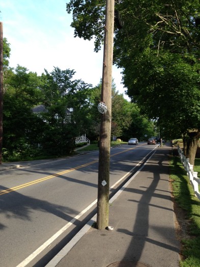 Alex Motsenigos memorial, June 2013, Weston Rd
