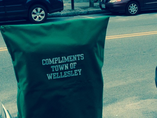Finest quality parking meter hoods we've ever seen. Curious to see if they don't get swiped