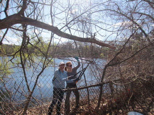 Morses Pond Clean Up1