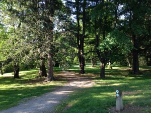 Wellesley trail near Hunnewell field