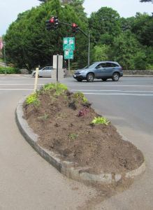 island intersection wellesley