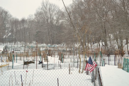Snow on the first day of Spring at Brookside Community Gardens. Just another power play to prove that no matter what the calendar says, we are still winter's, well, never mind.