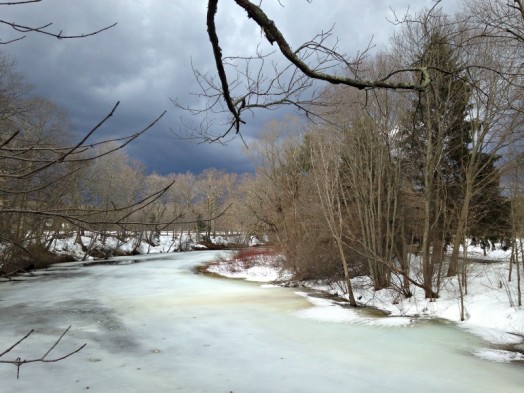 The Charles River at Elm Bank Reservation, minutes before the brief St. Patrick's Day hail storm.