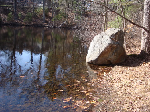 Reeds Pond Reeds Pond