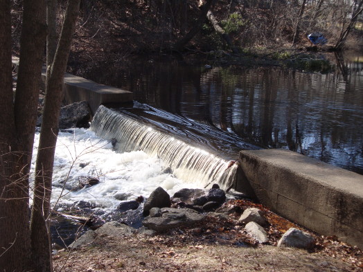 Reeds Pond