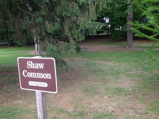 Shaw Common wellesley laurel av