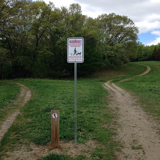 centennial park dog and rat sign