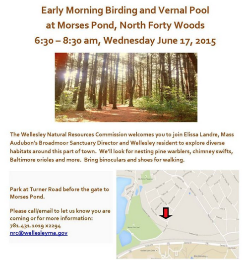 nrc bird walk wellesley