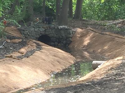 wellesley high fuller brook park bridge