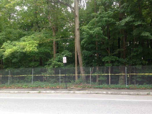 (Note: the house at the corner of Leighton and Washington had a For Sale sign on it when we went past it on Sunday.)