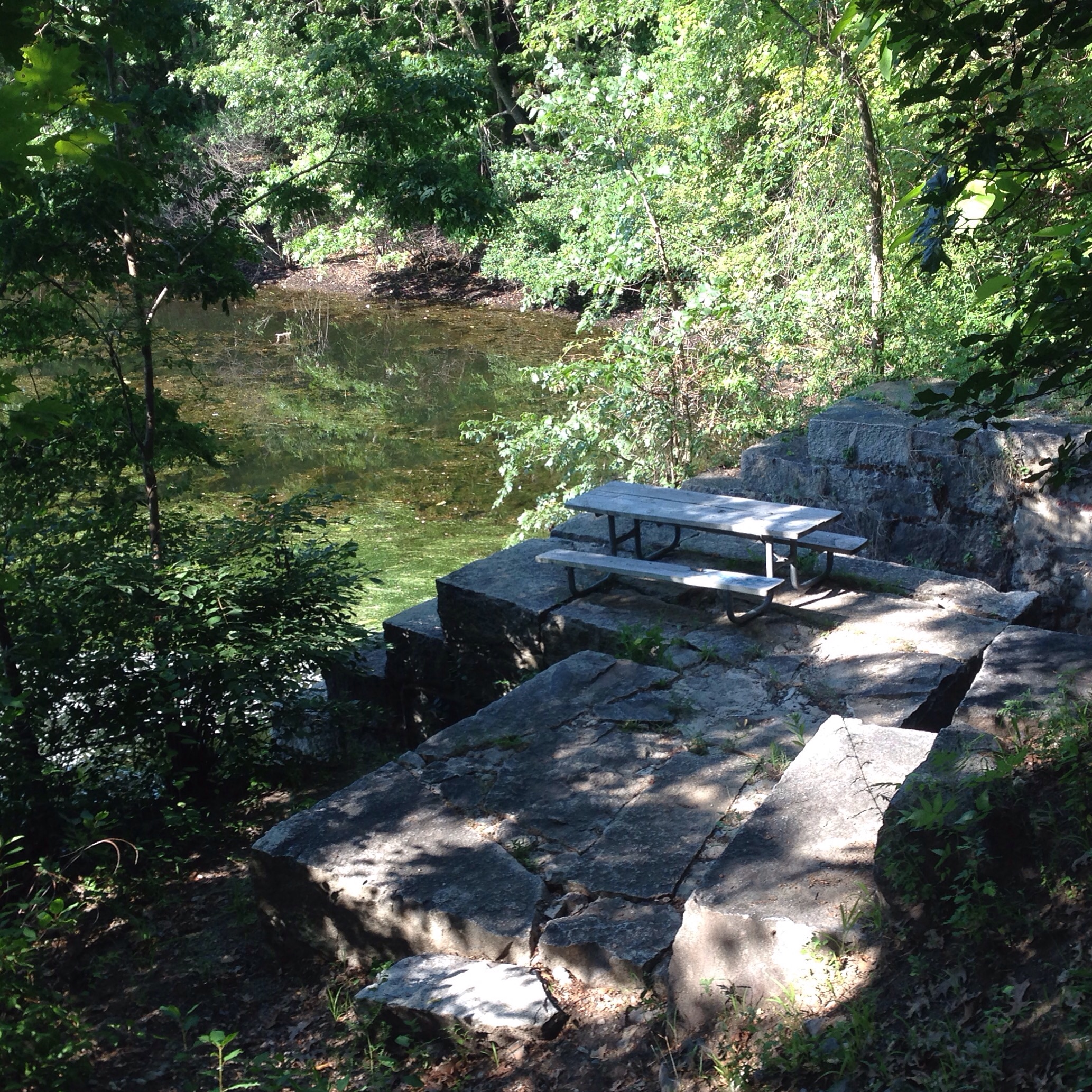 wellesley paintshop pond picnic table