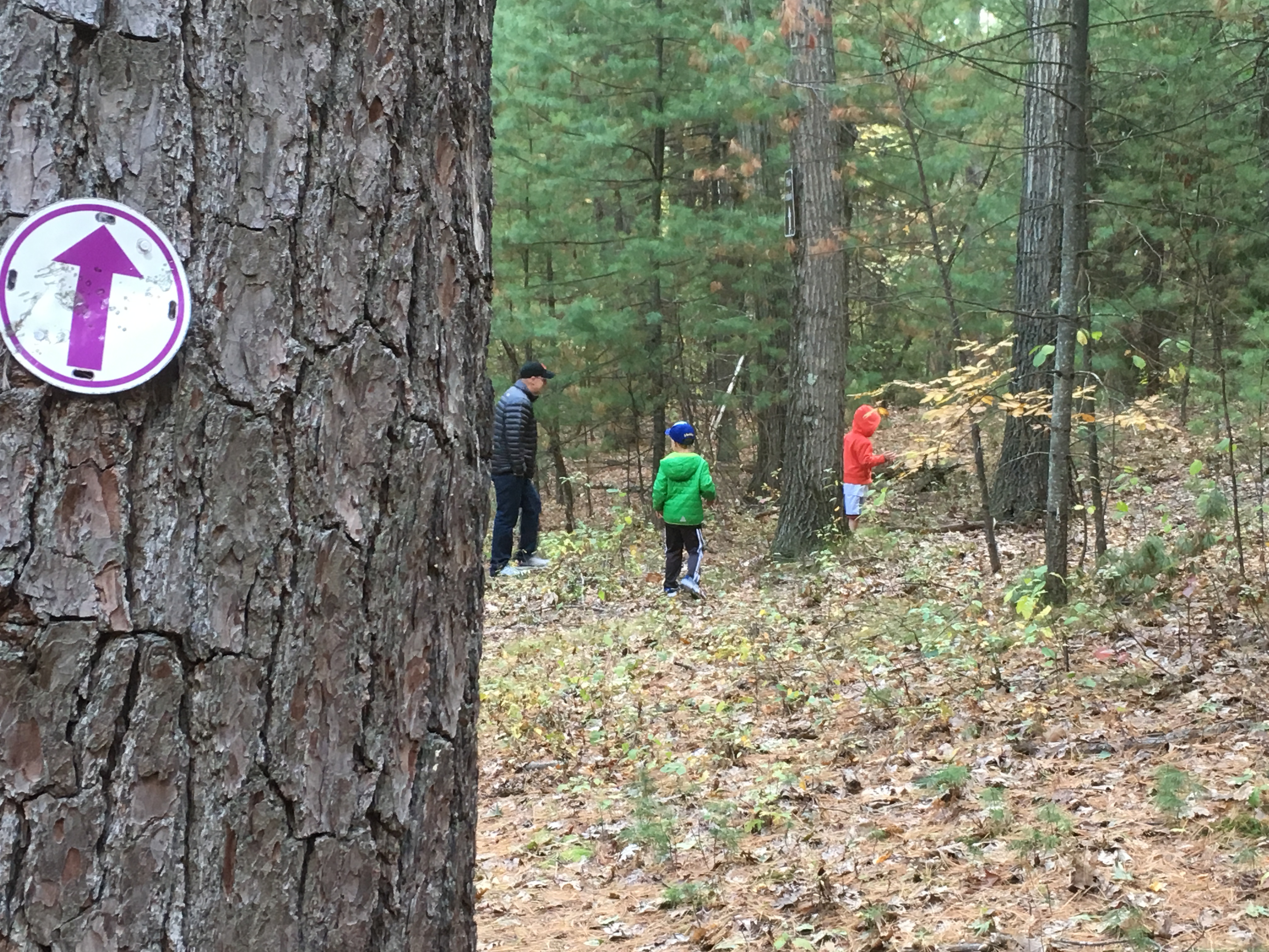 wellesley kids trails day longfellow pond town forest