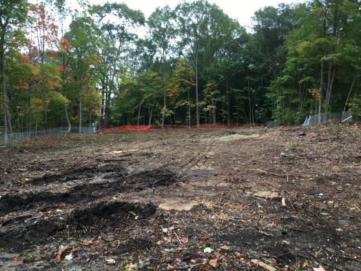 Rollins Lot wellesley october