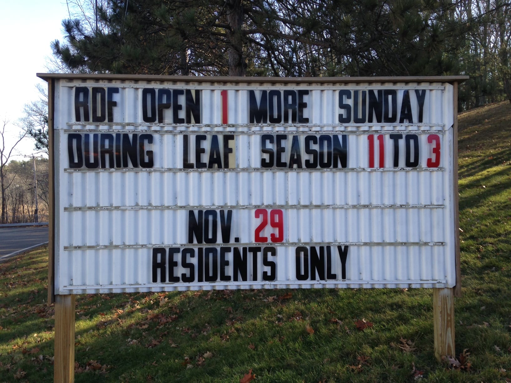 Dump, leaf collection, 2015