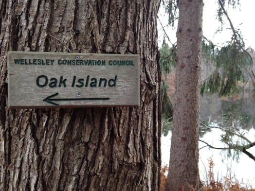 Wellesley, Guernsey Trail, Fall 2015