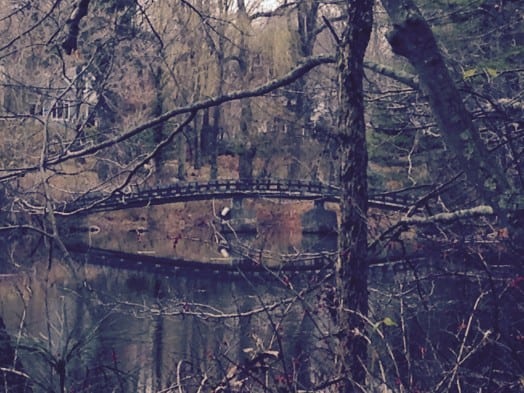 Wellesley, Guernsey Trail hike, Fall 2015
