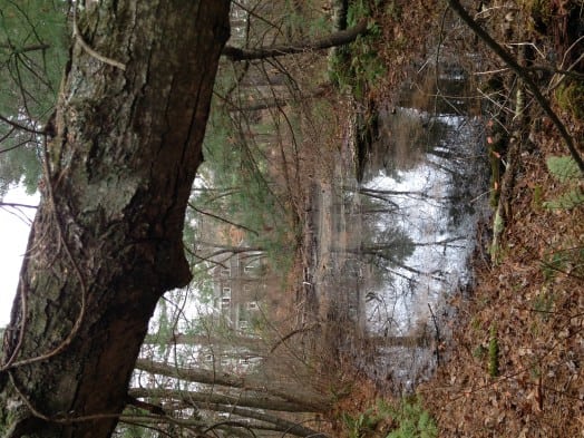 Waban arches, graffit, Fall 2015