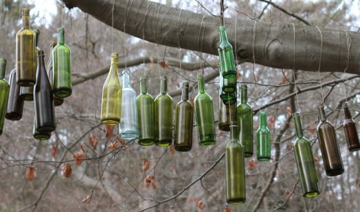 wellesley bottle tree wellesley bottle tree