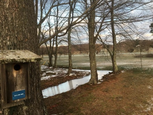 wellesley country club jan 8 2016 snow