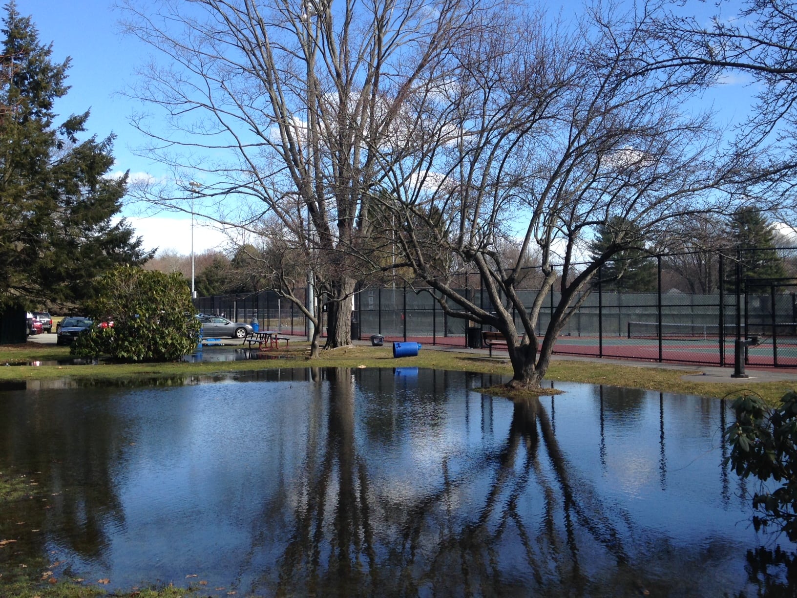 Wellesley storm, Feb. 2016