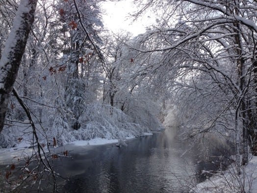 Longfellow Pond, Wellesley, February 2016