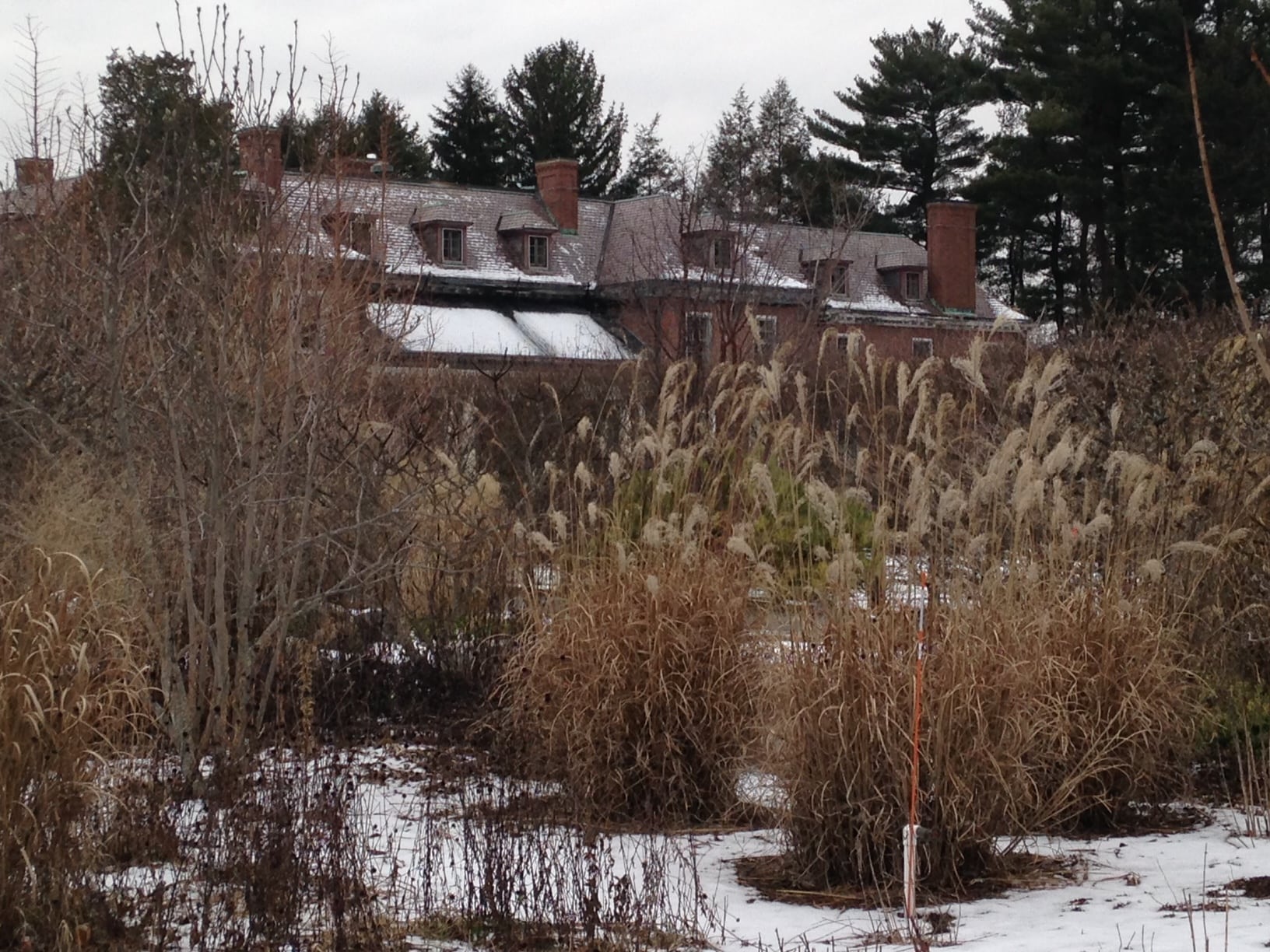 Elm Bank, Winter 2016