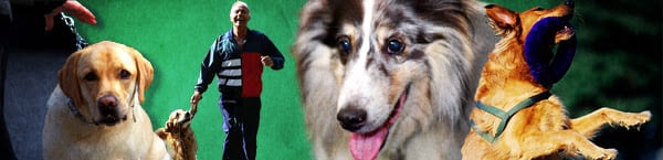 Canines and Cocktails, Wellesley College