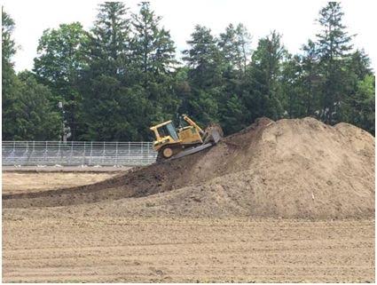 Wellesley HS track and field project