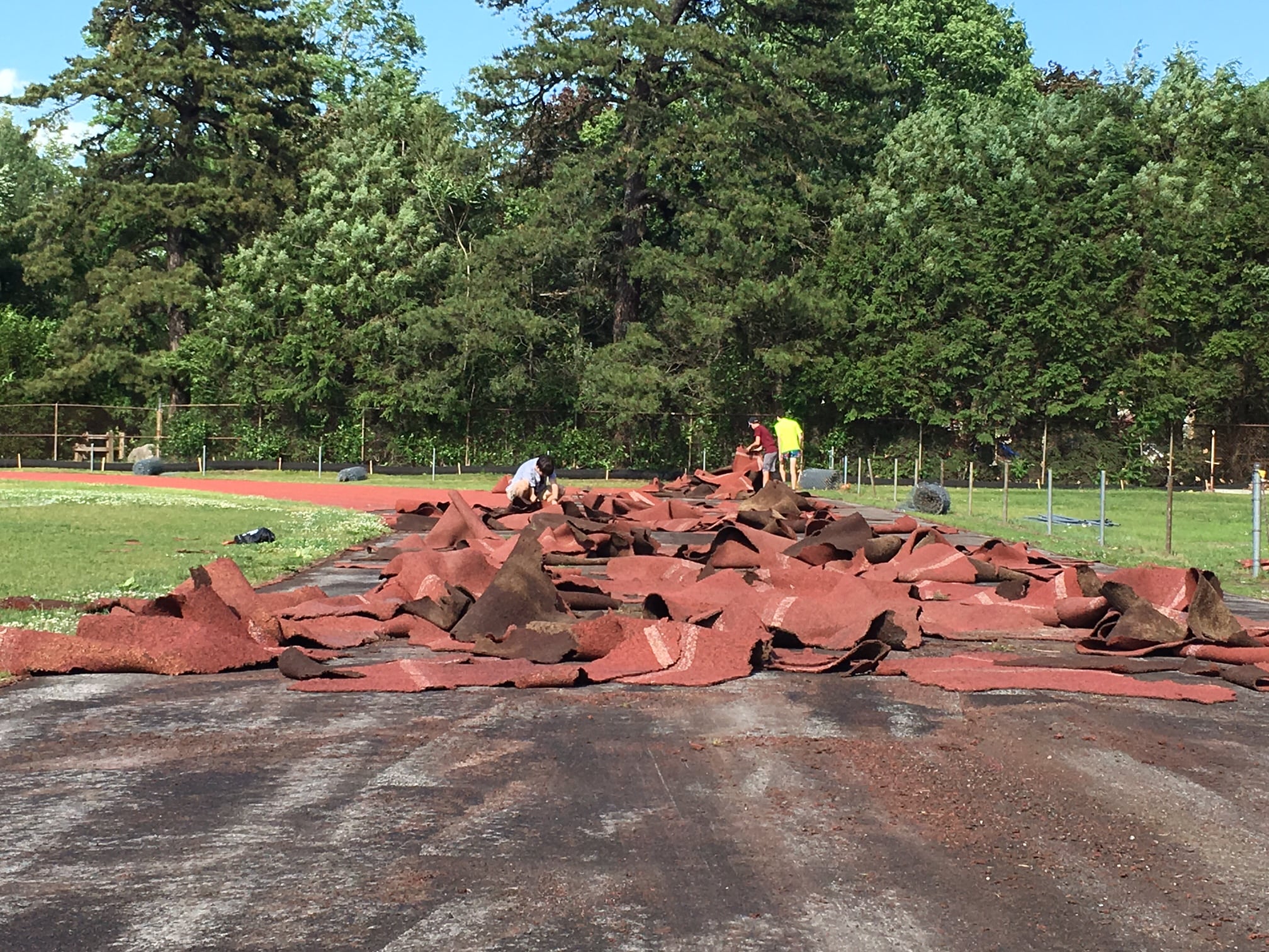 Old Wellesley track