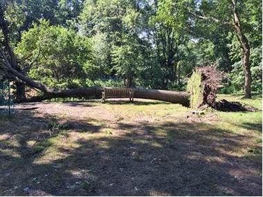 Fuller Brook Park, Wellesley