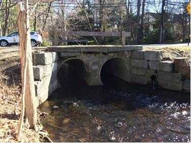 Wellesley Fuller Brook Park project