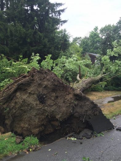 Macroburst damage