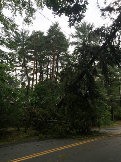 Macroburst damage