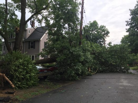 macroburst damage