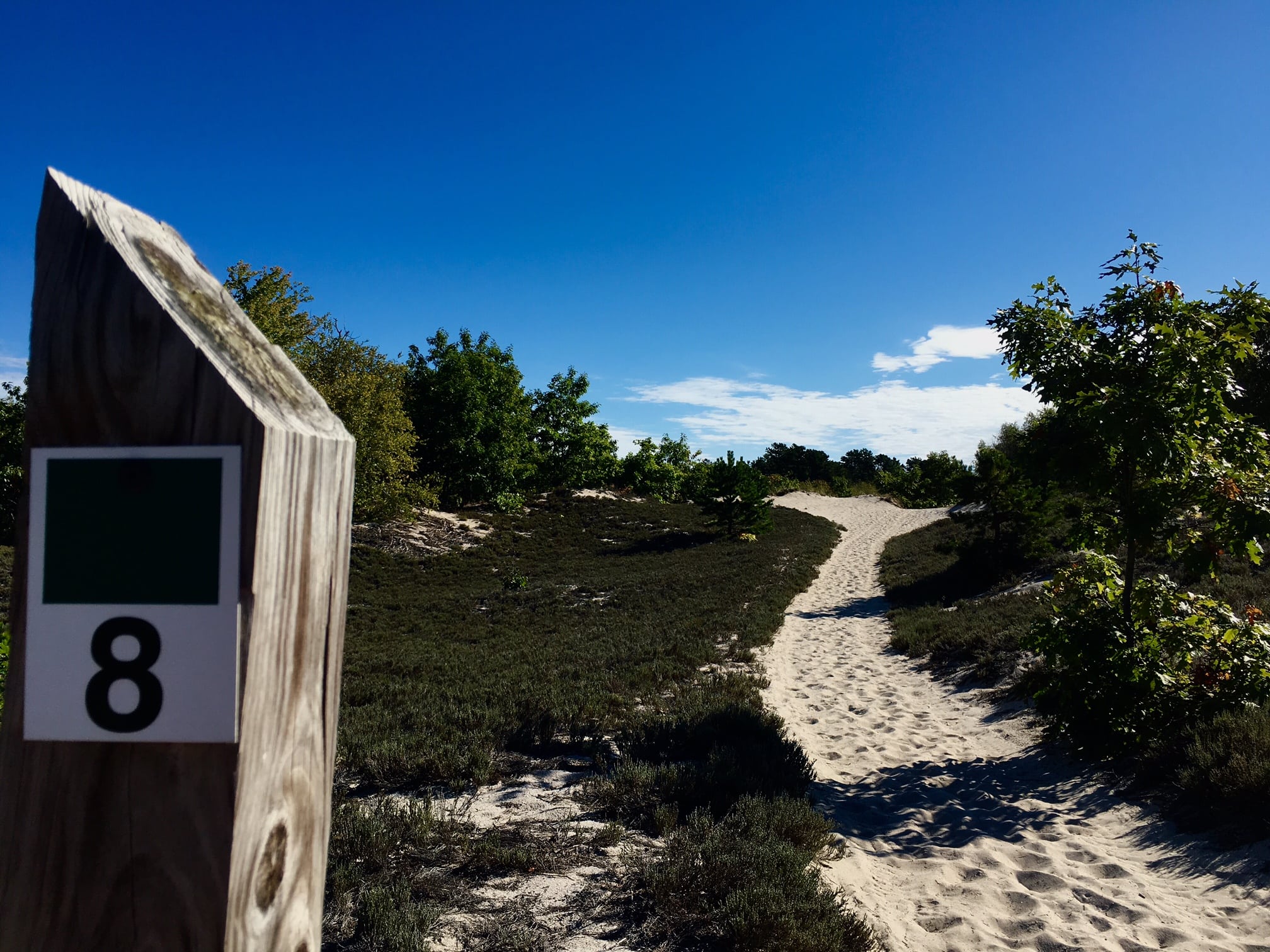 Crane Beach, Ipswich