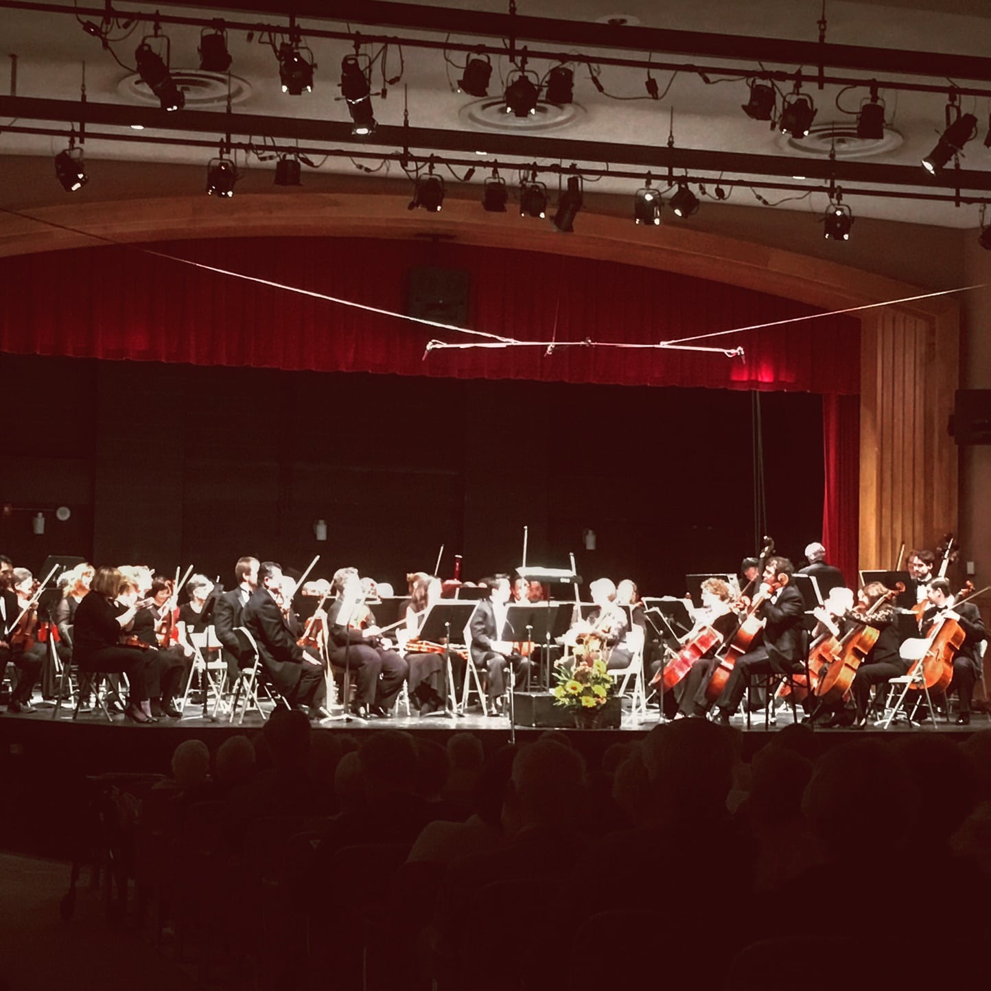 Wellesley Symphony Orchestra