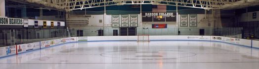Babson Skating Rink, Wellesley
