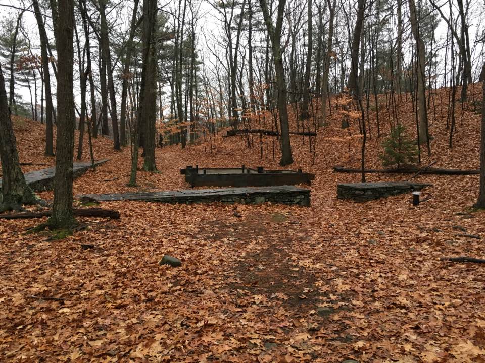 Woodland Garden art installation, Wellesley