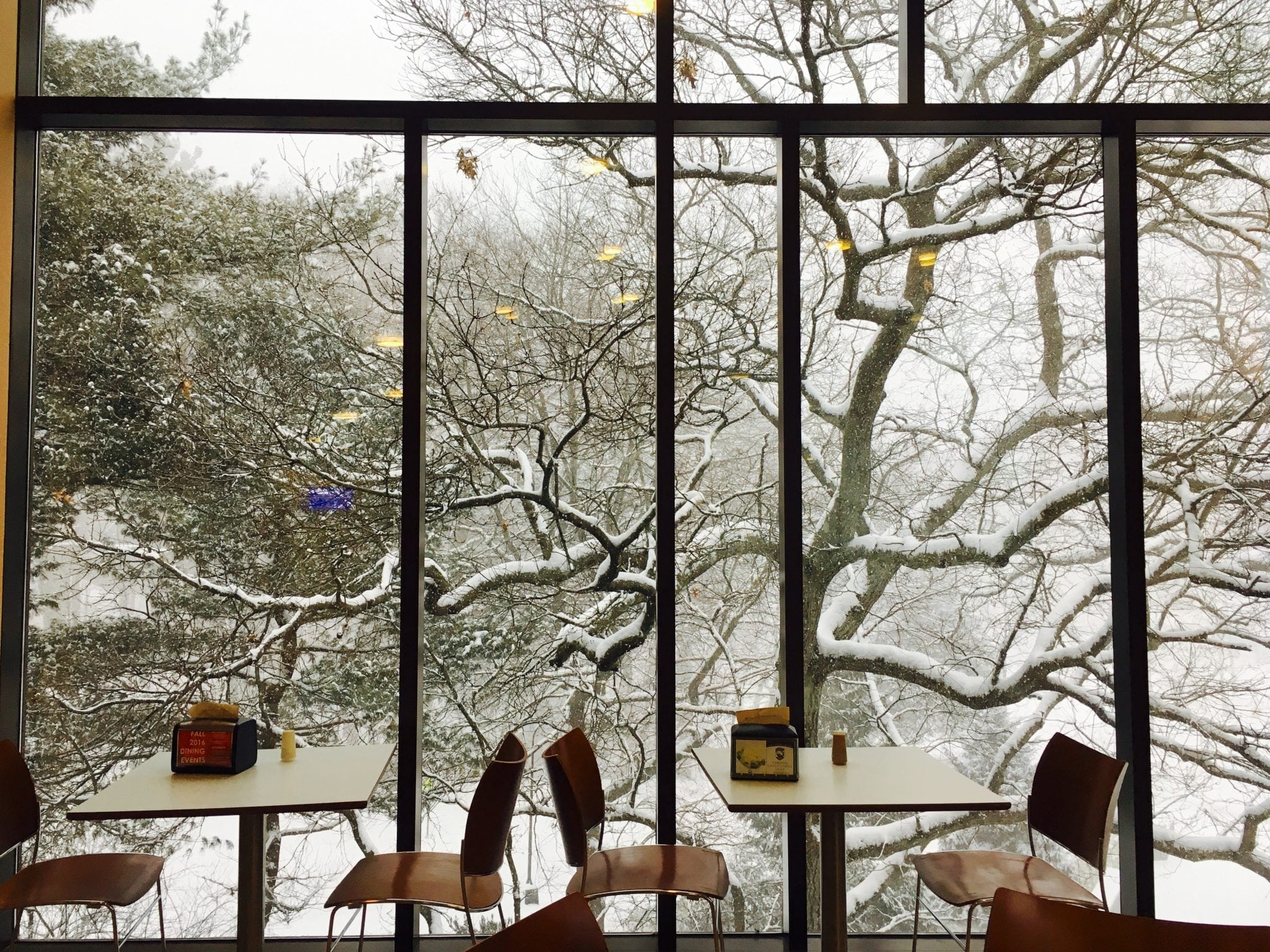 Wellesley College, snowstorm