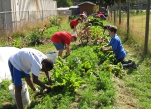 School Garden, Wellesley 