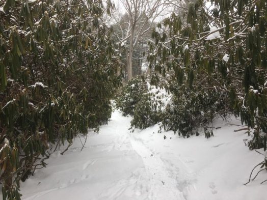 Lake Waban snow