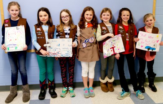 girl scouts 3rd grade 2017
