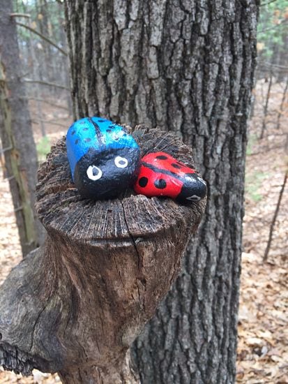 Painted rocks in woods near Morses Pond