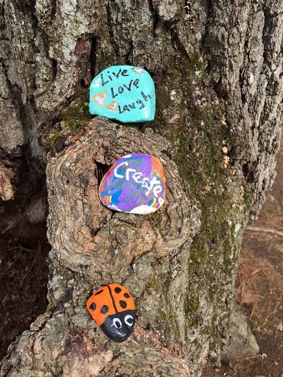 Painted rocks in woods near Morses Pond