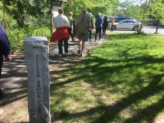 Wellesley Trails Committee-led walk of Fuller Brook Park's Brook Path